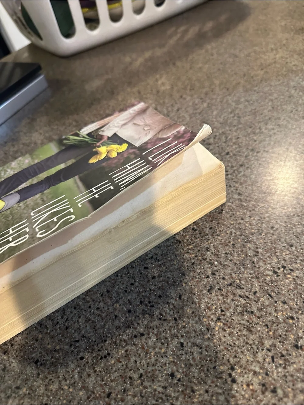 Book